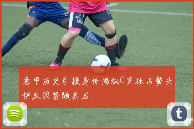 意甲历史引援身价揭秘C罗独占鳌头伊瓜因紧随其后