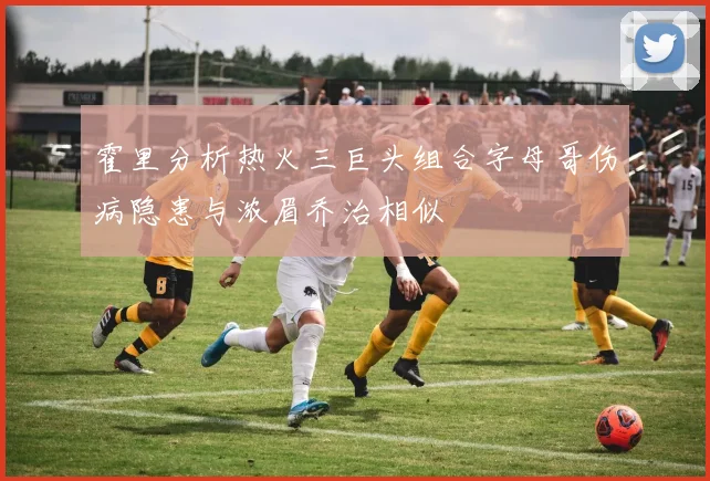 霍里分析热火三巨头组合字母哥伤病隐患与浓眉乔治相似